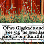 OKC residents share tangled views on tall grass – weeds violations
