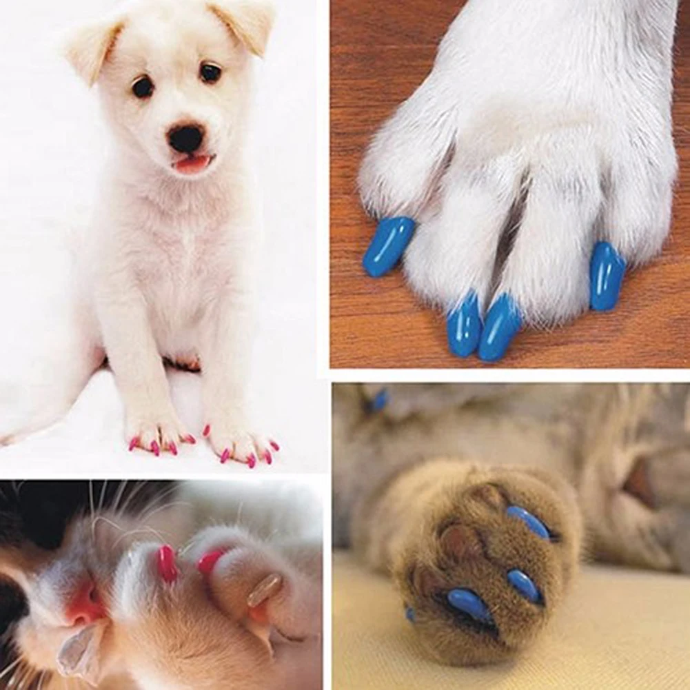 New 20pcs Cute Silicone Soft Cat Nail Caps / Cat Paw Claw / With Arc Pet Nail Protector/Cat Nail Cover With Free Glue Applictor 3 New 20pcs Cute Silicone Soft Cat Nail Caps / Cat Paw Claw / With Arc Pet Nail Protector/Cat Nail Cover With Free Glue Applictor - Image 3