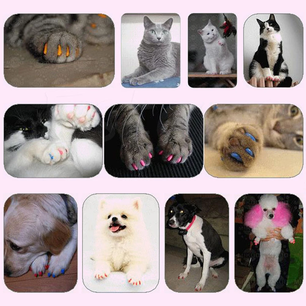 New 20pcs Cute Silicone Soft Cat Nail Caps / Cat Paw Claw / With Arc Pet Nail Protector/Cat Nail Cover With Free Glue Applictor 5 New 20pcs Cute Silicone Soft Cat Nail Caps / Cat Paw Claw / With Arc Pet Nail Protector/Cat Nail Cover With Free Glue Applictor - Image 5