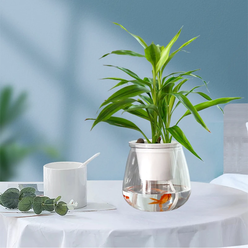 S0940dcc3b8a84704983f60ff22d5d55bs Transparent Hydroponic Flower Pot Double Layer Plastics Planter Self Absorbing Water Lazy Flower Pottop Table Potted Home Decor