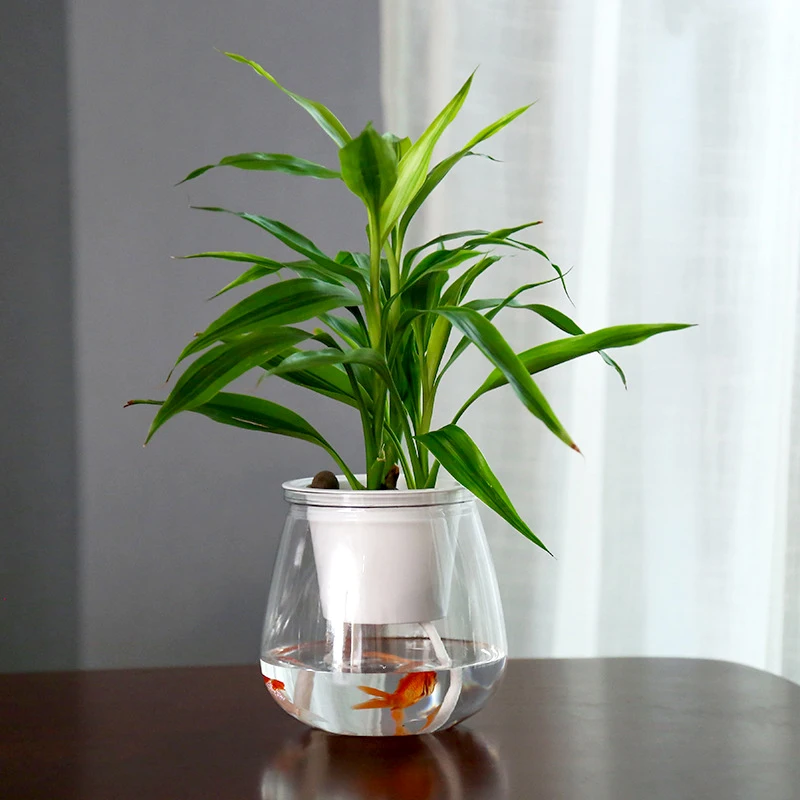 Safb31c017dff40a599a6db868f253680u Transparent Hydroponic Flower Pot Double Layer Plastics Planter Self Absorbing Water Lazy Flower Pottop Table Potted Home Decor