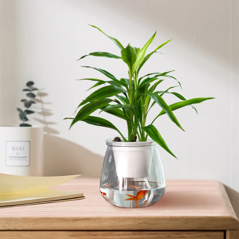Sbb026eb2bfbf4889b509a9f67eb0d530O Transparent Hydroponic Flower Pot Double Layer Plastics Planter Self Absorbing Water Lazy Flower Pottop Table Potted Home Decor