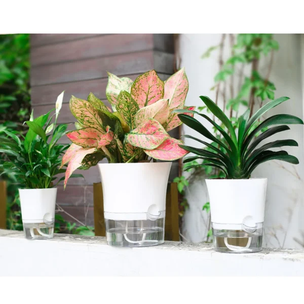 Transparent Double Layer Plastic Flower Pot Hydroponic Home Vase Self Watering Flowerpot Cotton Rope Watering Small Plant Pot
